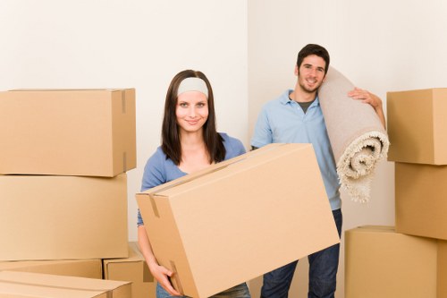 Small removals van handling boxes and furniture in Goldersgreen